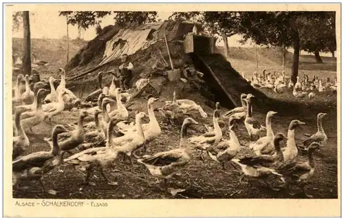 Schlackendorf - Elsass -123728