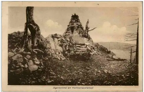 Vieil Armand - Hartmannswillerkopf - Jägerdenkmal -123918