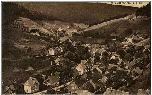 Wildemann im Harz -125330