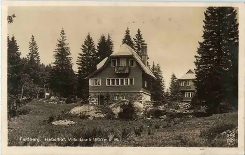 Feldberg - Hebelhof -68512