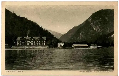 Plansee - Hotel Forelle -122856