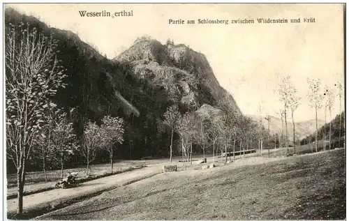 Wesserling - Partie am Schlossberg zwischen Wildenstein und Krüt -124270