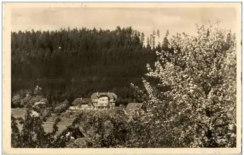 Hallwangen bei Freudenstadt im Schwarzwald -125192
