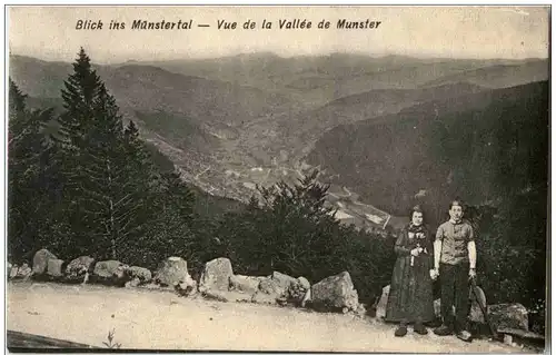 Blick ins Münstertal - Vallee du Munster -124022
