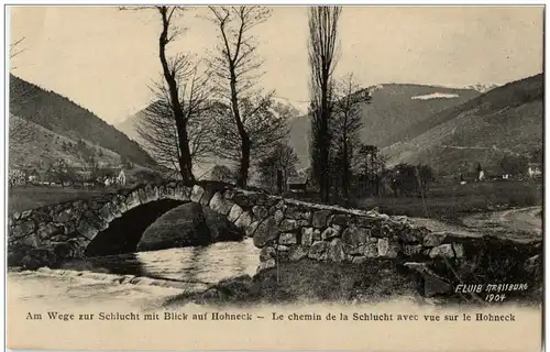 Am Wege zur Schlucht mit Blick auf Hohneck -123982