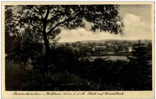Benneckenstein im Hochharz - Blick auf Gondelteich -125106