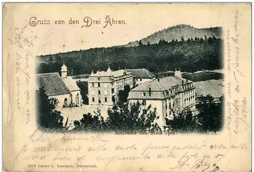 Gruss von den Drei Ähren -124694