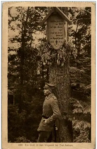 Trois Epis - Drei Ähren - Ein Grab in den Vogesen - Feldpost -124472