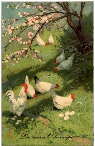 Huhn Chicken -123420