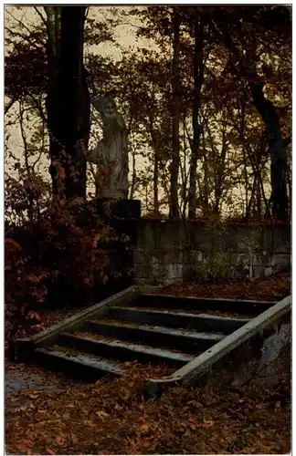 Dresden - Grosser Garten im Herbst -126638