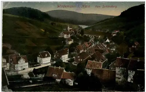Wildemann im Harz -125512