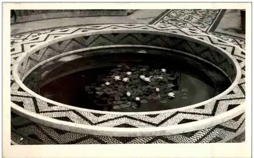 Rhodes - Nenuphars -127152