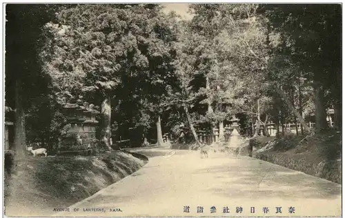 Nara - Avenue of Lanterns -127344