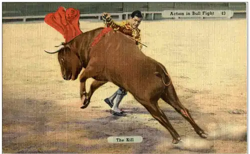 Action in Bull fight - The Kill -127252