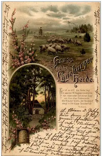 Gruss aus der Lüneburger Heide - Litho - -125876