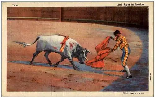 Mexico - bullfight -127304