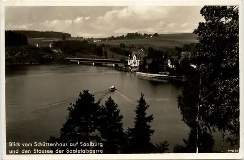 Die Saaletalsperre, Blick vom Schützenhaus aus Saalburg und den Stausee -341368