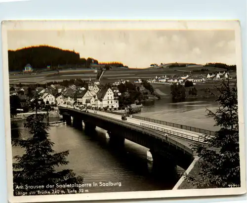 Die Saaletalsperre, Am Stausee in Saalburg -341388