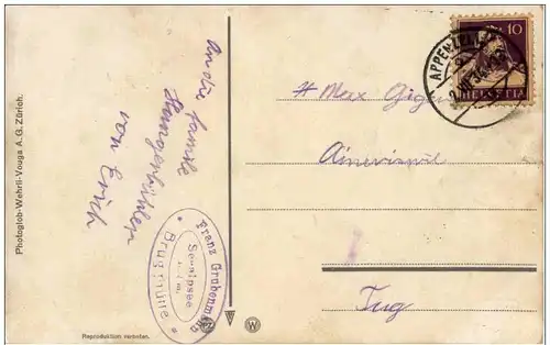 Gemsen im Hochgebirge -128322