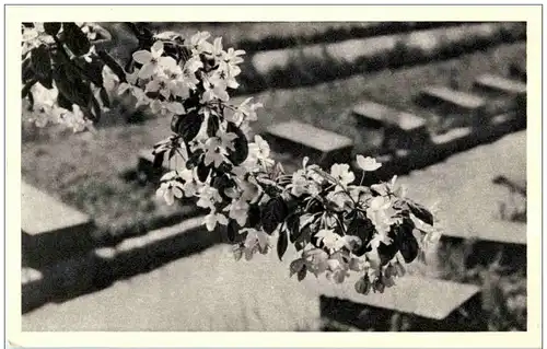 Leningrad - Piskaryovskoye Memorial Cemetery -128086