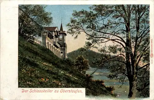 Oberstaufen, Allgäu, der Schlosskeller -341628