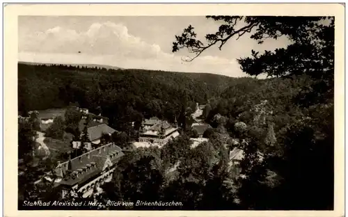 Alexisbad - Blick vom Birkenhäuschen -126786