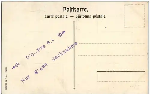 Schweizer Truppenführer - Grenzbesetzung 1914 -128998