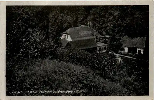 Eisenberg, Froschmühle, Mühltal -342128
