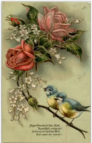Vögel - Prägekarte -127818