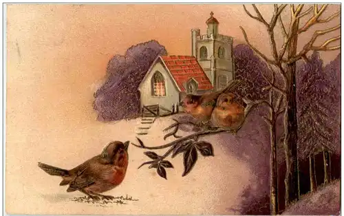 Vögel - Prägekarte -127816