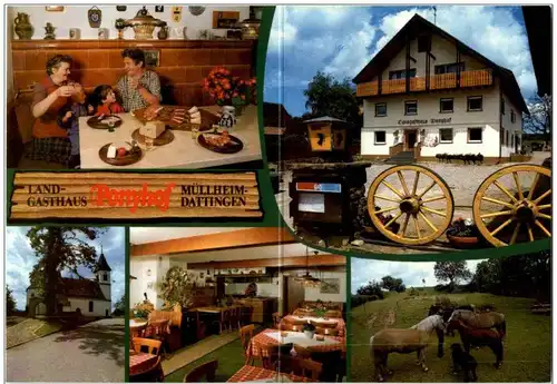 Müllheim Dattingen - Gasthaus Ponyhof -129376