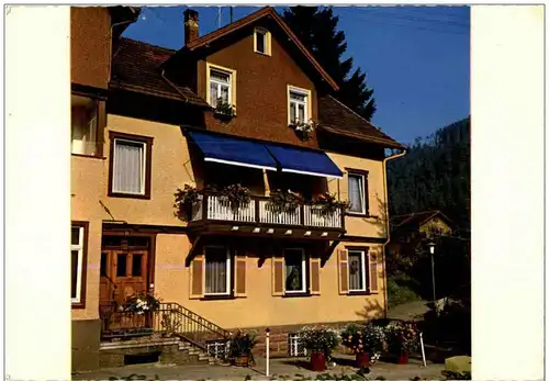 Wildbad - Haus Palmengarten -129432