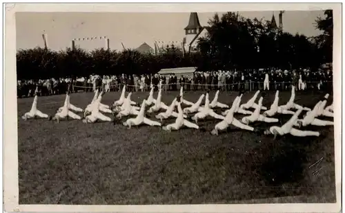 St. Gallen - Kant. Turnfest - Rorschach 1927 -129606