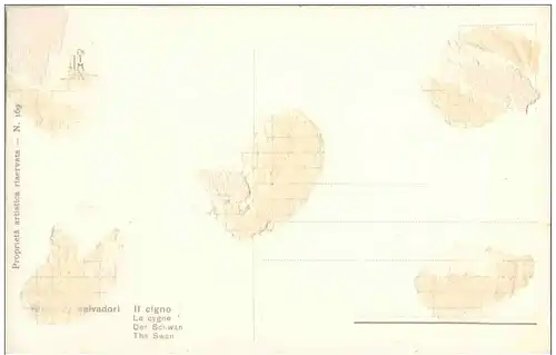 Salvadori - Il cigno -128492