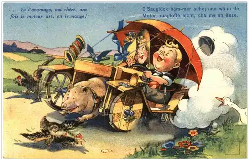 Humor - Minouvis -129814