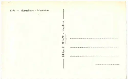 Murmeltier- Marmottes -129932