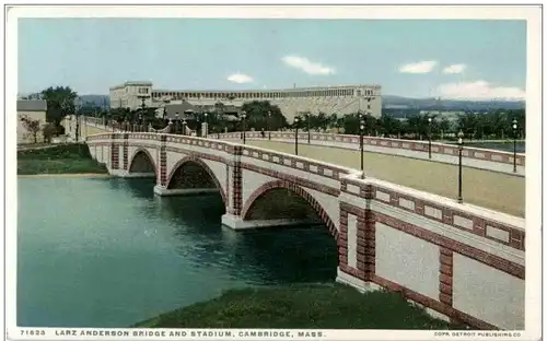 Cambridge - Larz Anderson Bridge -131190