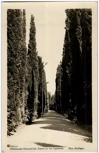 Granada Generalife - Paseo de los Cipreses -131248