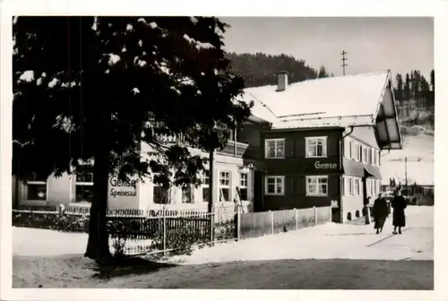 Oberstaufen, Allgäu, Gasthof zur Gemse -344128