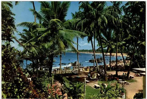 Tropical Garden Mount Lavinia -131570