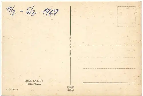 Hikkaduwa - Coral Gardens -131486