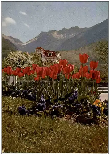 Tulpenfrühling im oberen Rhonetal -131536