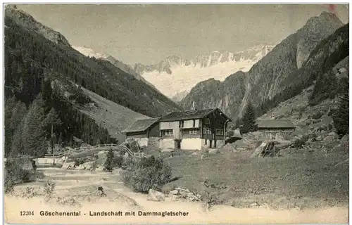 Göschenental - Landschaft mit Dammagletscher -131968
