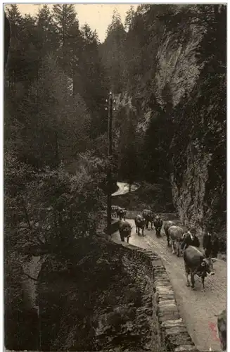 Viamala - Partie bei der Brücke -132308