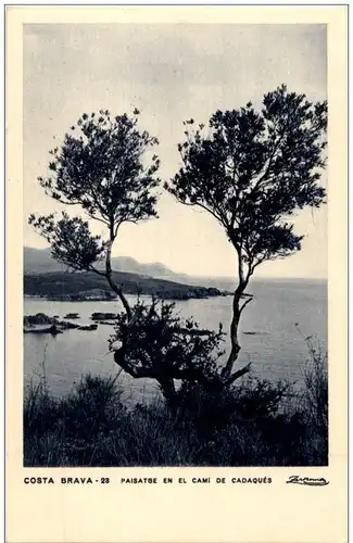 Costa Brava - Paisatge en el Cami de Cadaques -130924