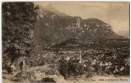 Bex et la Dent de Morcles -132324