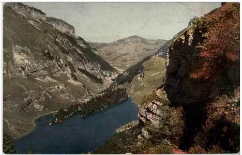 Partie am Unterstrichweg - Blick auf den Seealpsee -132438