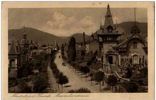 Neustadt a d Haardt - Maximilianstrasse -131010