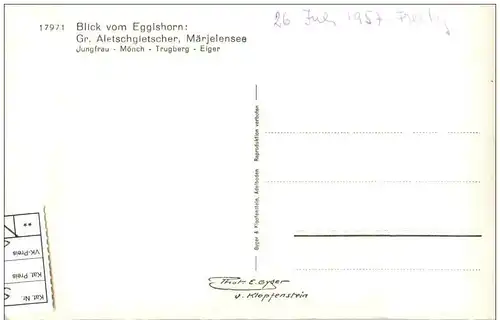 Blick vom Eggishorn - Aletschgletscher -133316