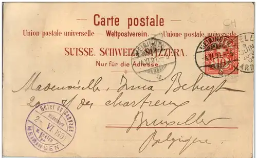 Meyringen - Reichenbachfälle mit Drahtseilbahn -133072